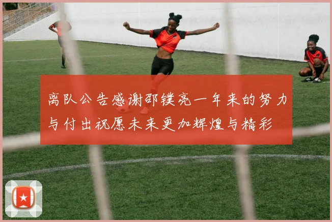 离队公告感谢邵镤亮一年来的努力与付出祝愿未来更加辉煌与精彩