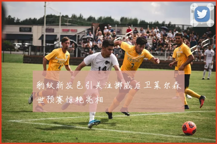 豹纹新发色引关注挪威后卫莱尔森世预赛惊艳亮相