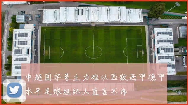 中超国字号主力难以匹敌西甲德甲水平足球经纪人直言不讳