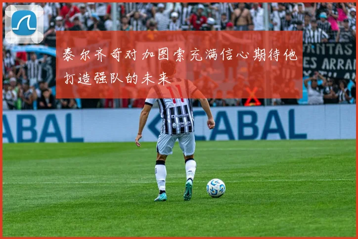 泰尔齐奇对加图索充满信心期待他打造强队的未来