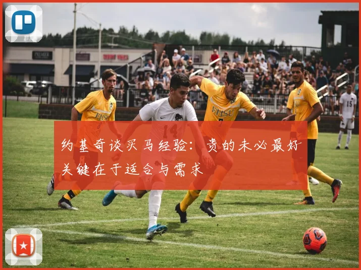 约基奇谈买马经验：贵的未必最好关键在于适合与需求